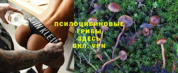 твердый Володарск